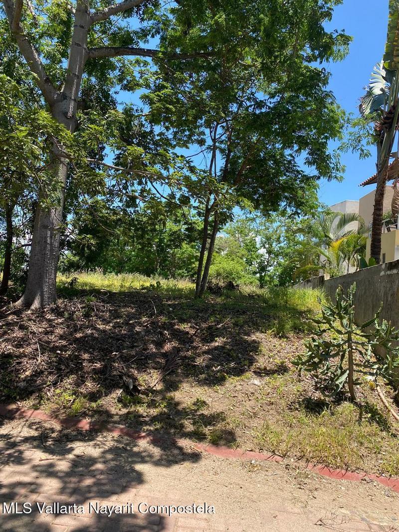 20250730003622084729000000 o