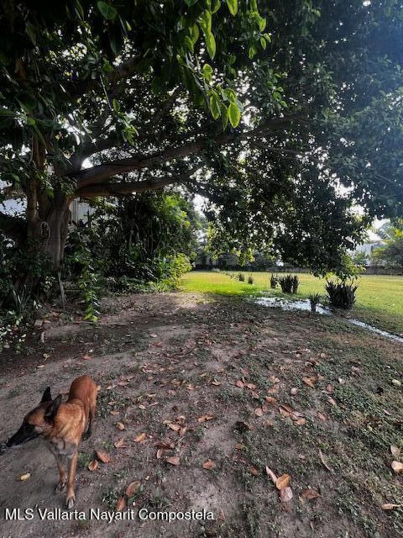 20260129221317060683000000 o