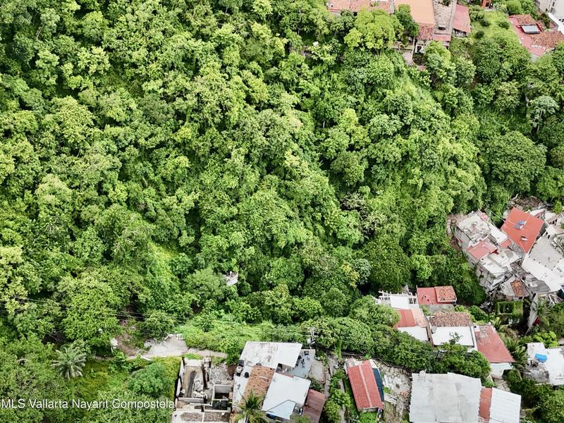 20251003195948202554000000 o