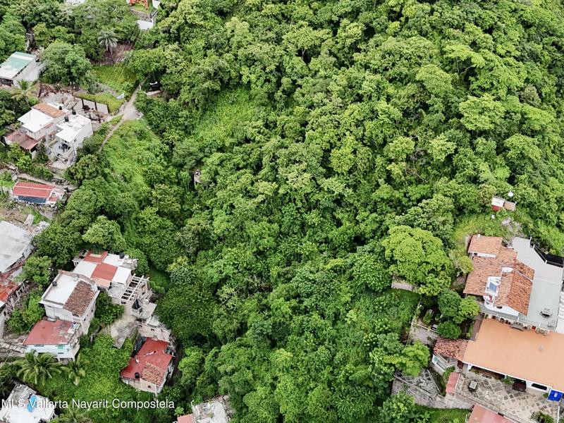 20251003195957492226000000 o