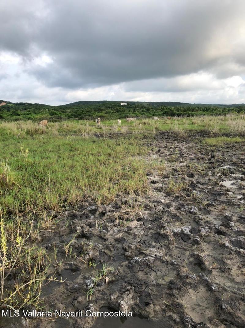 20251022011413504014000000 o