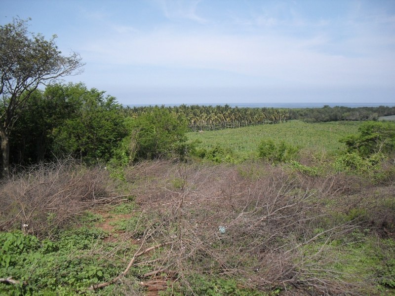64 Z1 Ipala Main Road, Lote Ipala, Sierra Madre Jalisco, Ja