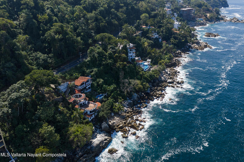 20260203172919698200000000 o