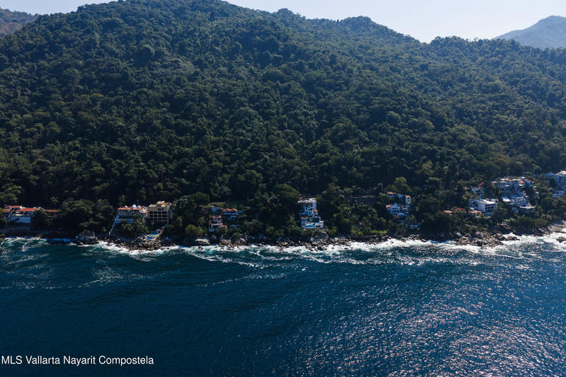 20260203173034017656000000 o