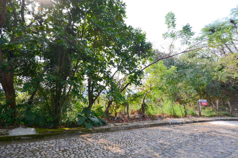 A2 Paseo De Las Madre Perlas, Upper Conchas Chinas Lot, Puerto Vallarta, Ja