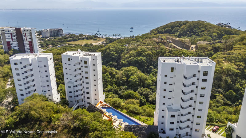 20251217164345310286000000 o