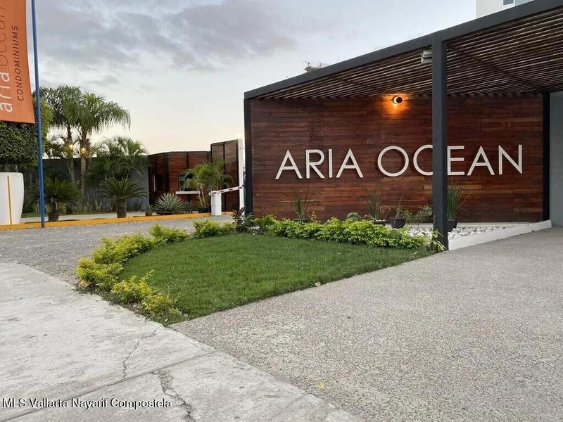 Aria 317
