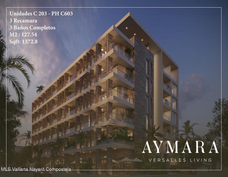 Aymara C303