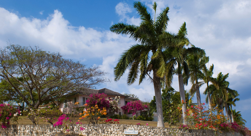 Bumpers nest jamaica villas03