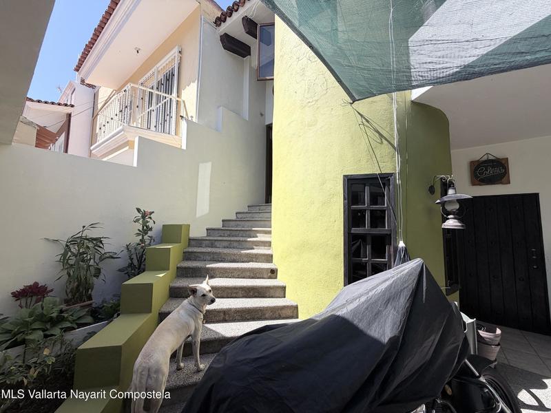 20260212002107695742000000 o