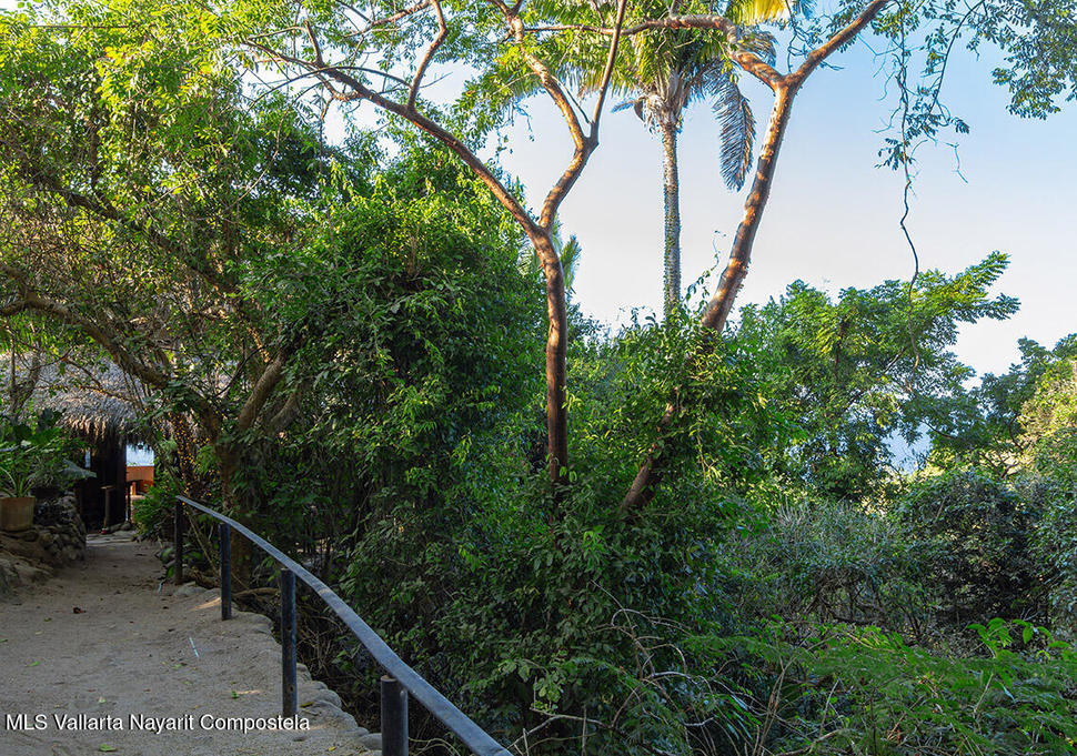 20260126225357802246000000 o