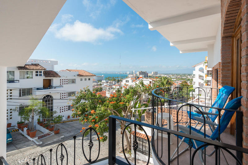 Condo Ecuador 1