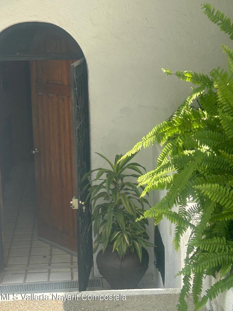 20250729033034108666000000 o