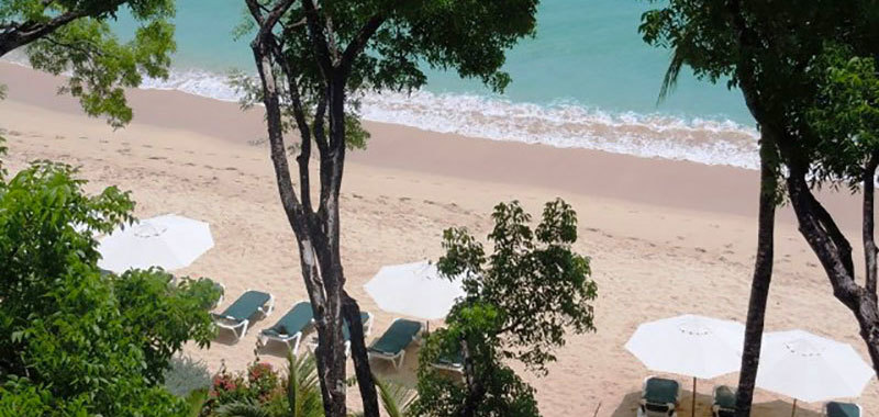 Coral cove15 15