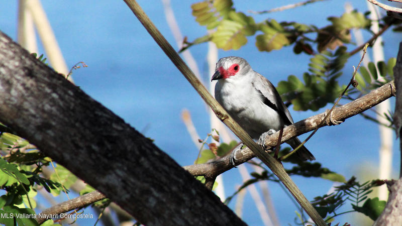 20250815170916724394000000 o