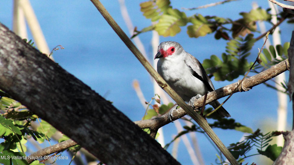 20250815170916724394000000 o