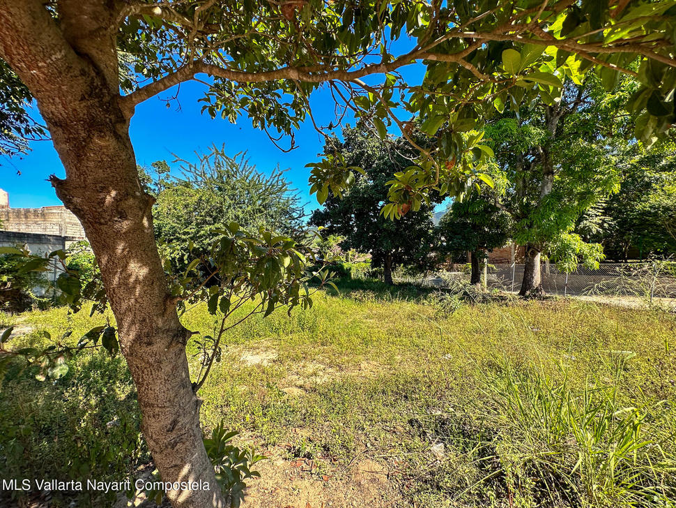 20260106210202287098000000 o