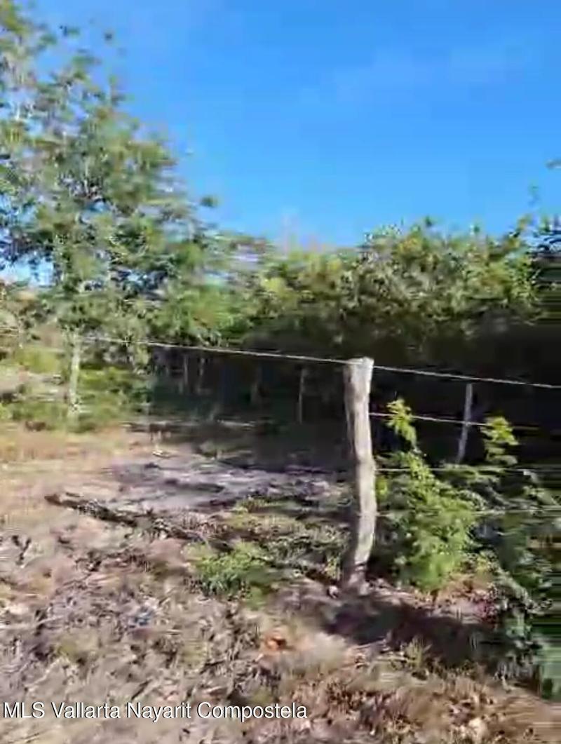 Ingreso Bahia De Chamela, Lote Chamela, Other, Ja