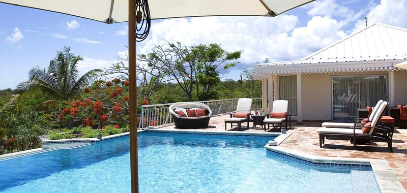 Jardin creole 22