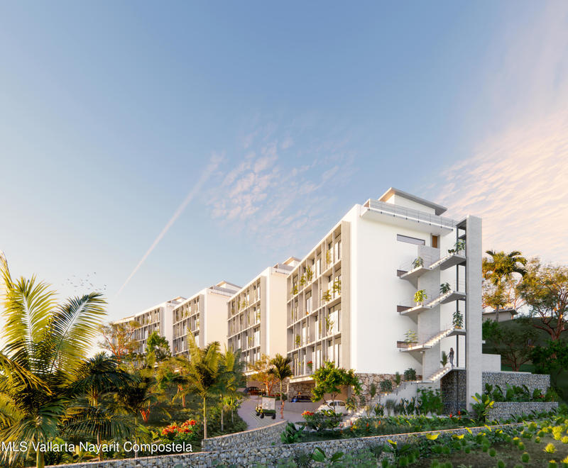 Jardin Iguana 4