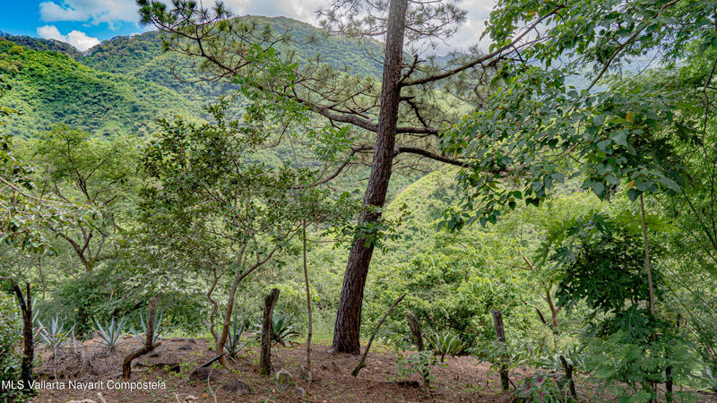 20251015192025228184000000 o