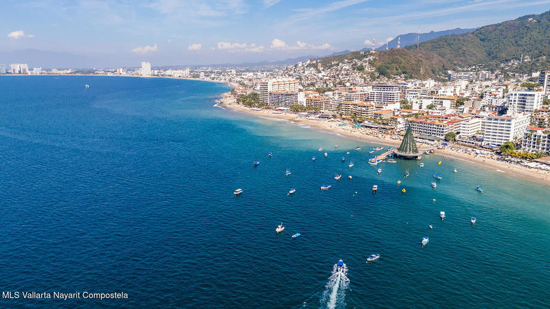 20260120223645075599000000 o