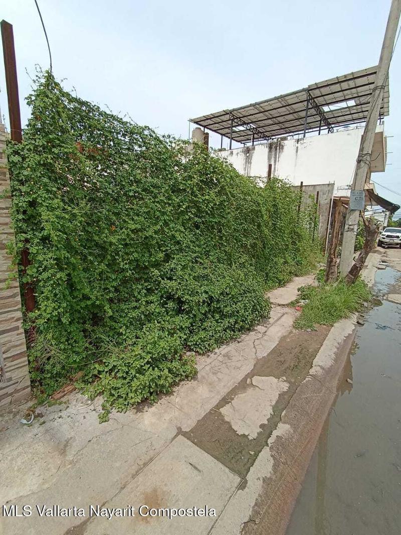 20250911214104624951000000 o