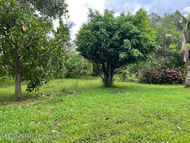 20260126181357868665000000 o