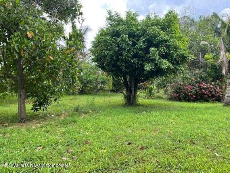 20260126181357868665000000 o