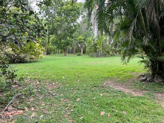 20260126181435196696000000 o