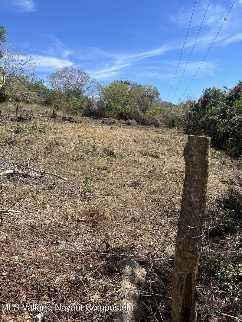 20260128154359451490000000 o