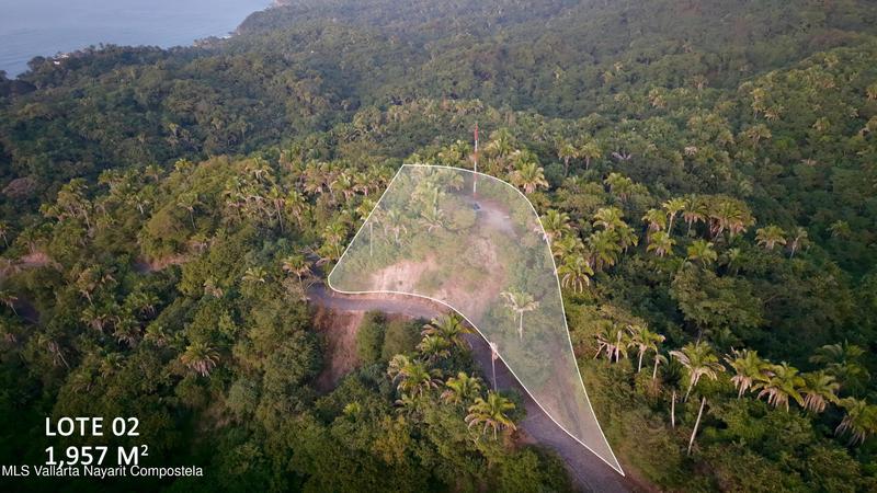 20251231174237554114000000 o