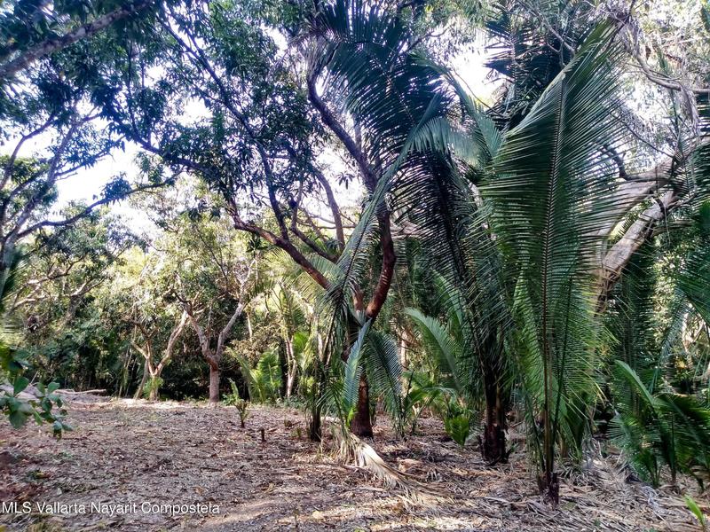 N/A Carretera A Las Minitas, Lote Blissfull, Riviera Nayarit, Na
