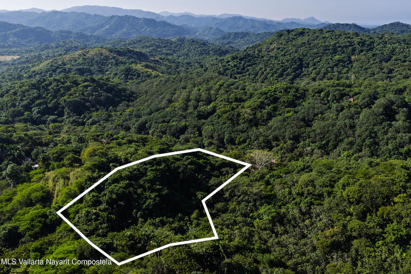 20251219171809630637000000 o