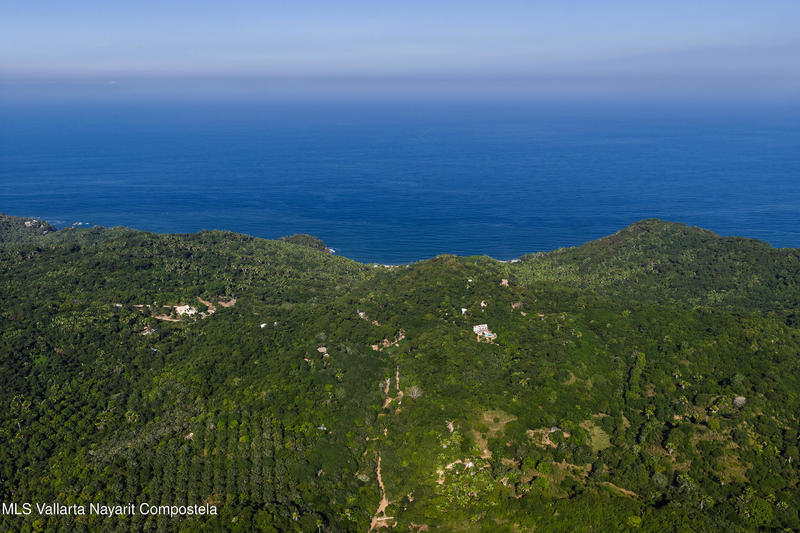 20251219171917639704000000 o