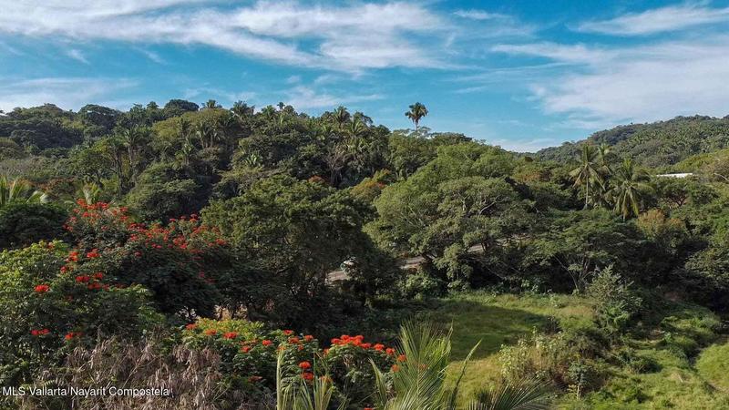 20260206233439019358000000 o