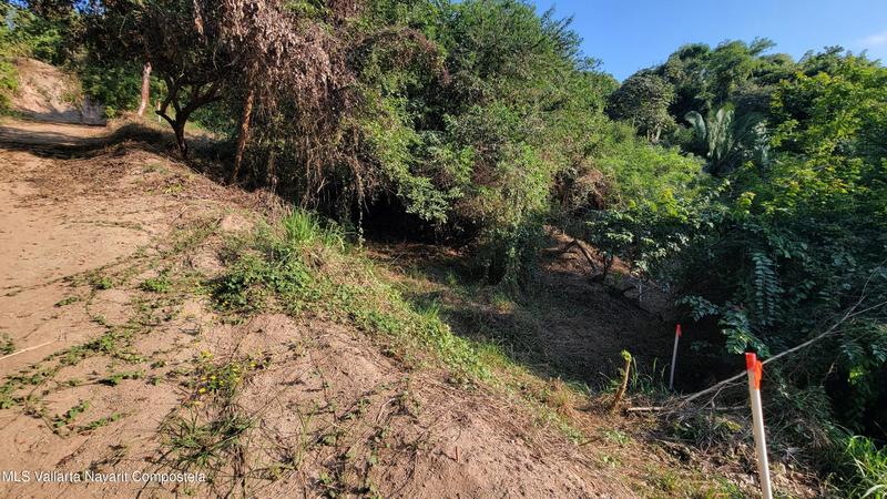 20260128000234062513000000 o