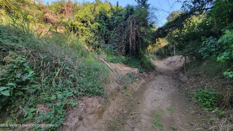 20260128000245122150000000 o