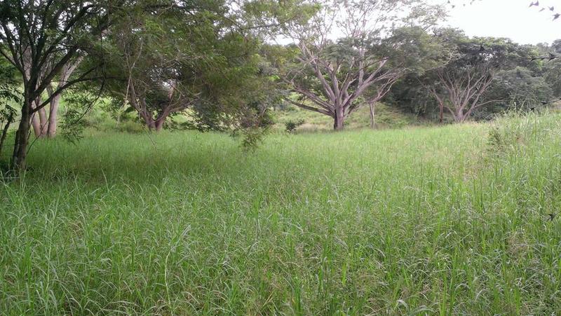 Na Na, Lote Torres, Riviera Nayarit, Na