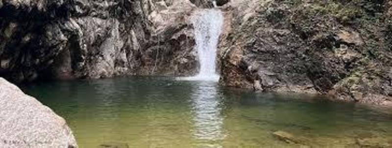 20260123192419078676000000 o