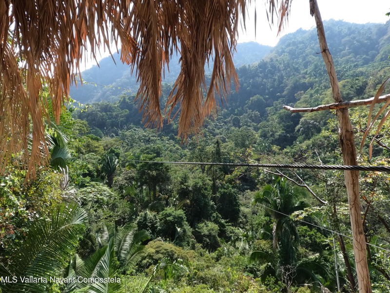 20260203202205142437000000 o