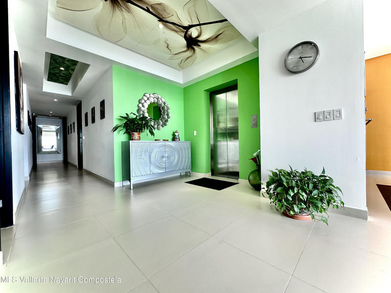 20250729002322408481000000 o