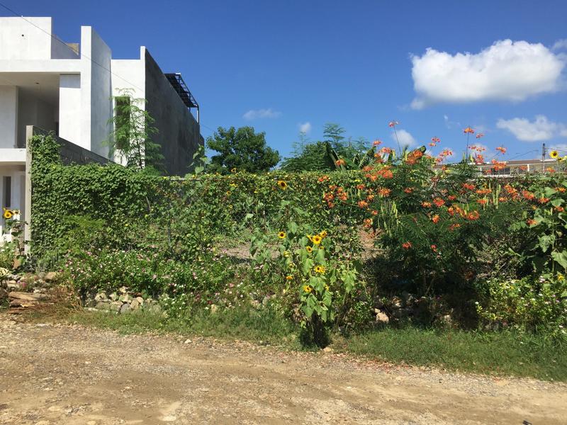 Pelicano Y Lote 5, Lote Marino, Riviera Nayarit, Na