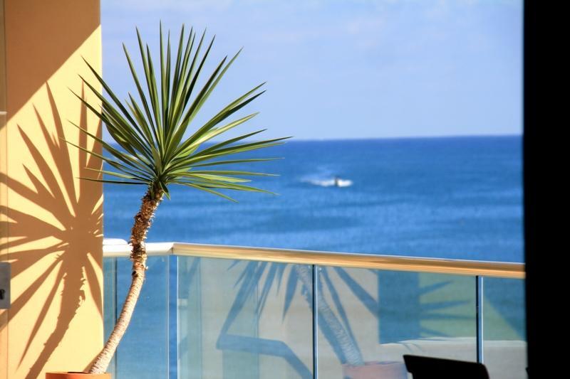 Punta Vista Ii 502