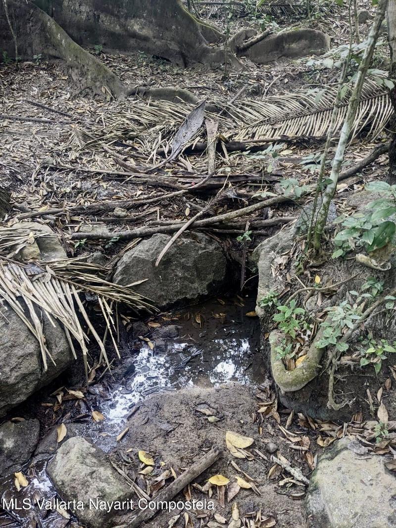 S/N Camino Las Calabazas, Lote Ojo De Agua, Riviera Nayarit, Na