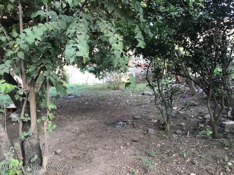 20251222042916612912000000 o