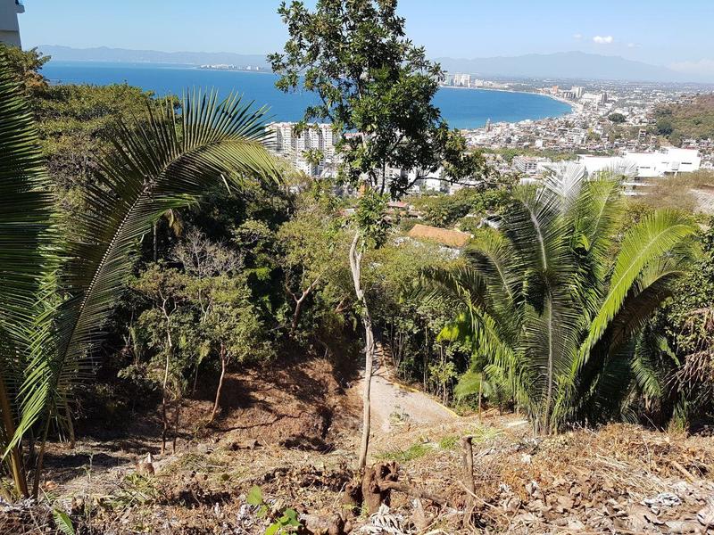 S/N Gladiolas, Lote Amapas, Puerto Vallarta, Ja