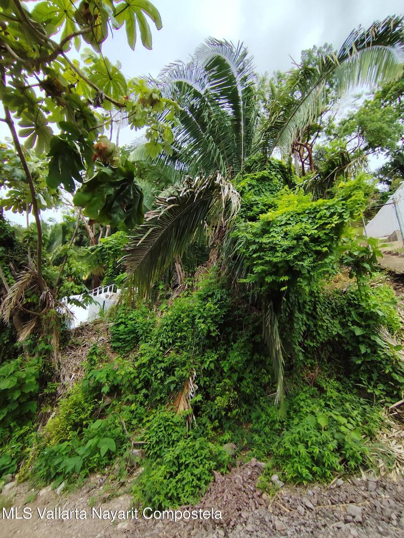 20250731184138141530000000 o