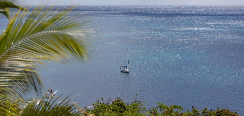 Sea dream 24