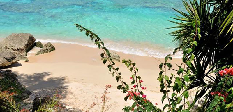 Secret cove 3 4 12